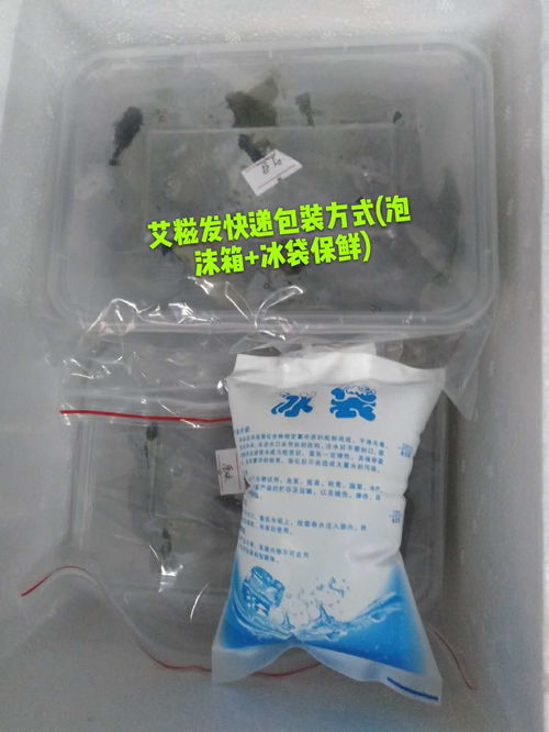 生鮮速遞，品質(zhì)保鮮 廣東省內(nèi)順豐包郵，24小時(shí)急速發(fā)貨