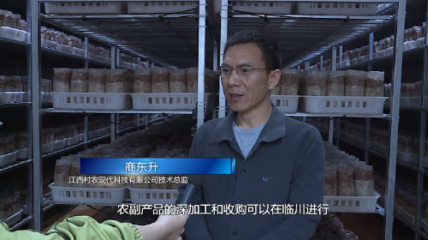 臨川 以項(xiàng)目建設(shè)為引擎 跑出工業(yè)高質(zhì)量發(fā)展“加速度”